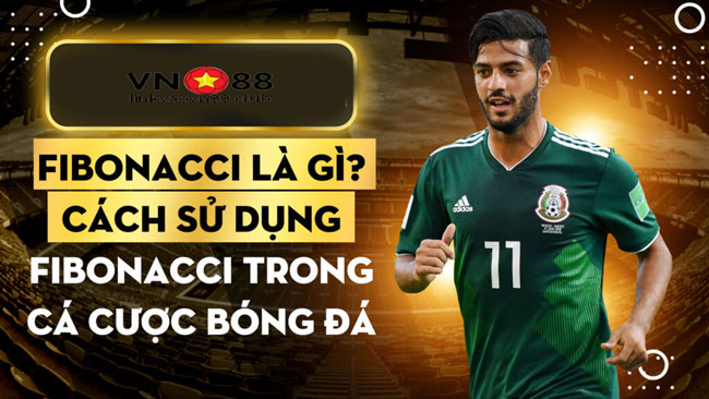 Fibonacci-vn88