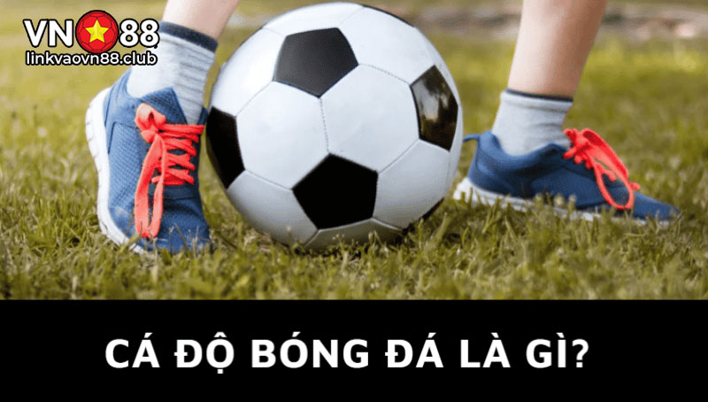 Cá Độ Bóng Đá Là Gì? Hướng Dẫn Cách Cá Độ Bóng Đá Dễ Thắng 7 Cá độ bóng đá là gì?