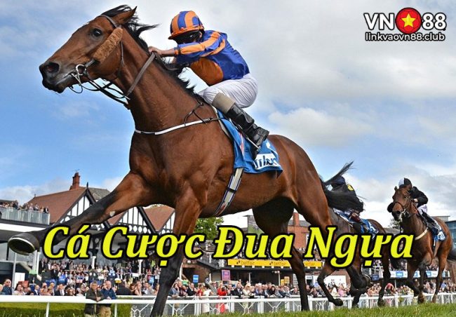 Cá Cược Đua Ngựa: Hướng Dẫn Đầy Đủ Để Thắng Lớn