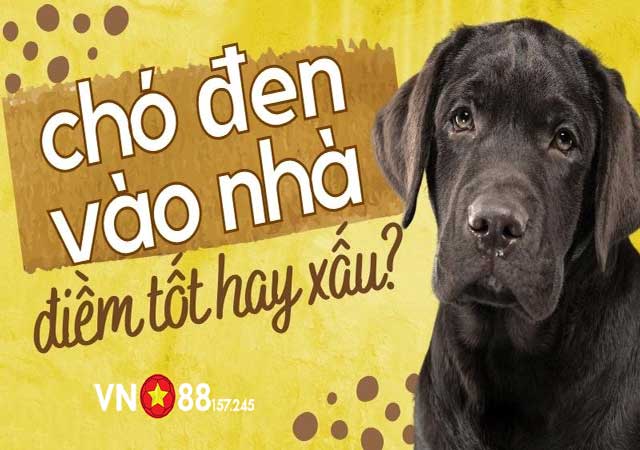 Mơ Thấy Chó Đen Điềm Báo Gì? Con Số Nào Mang Lại Tài Lộc? 7 Nằm mơ thấy chó đen vào nhà tốt hay xấu